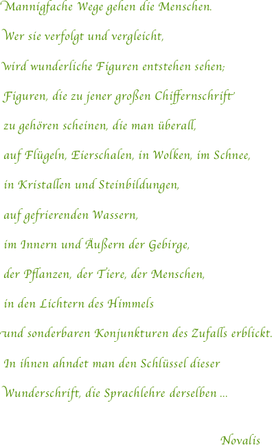Mannigfache Wege gehen die Menschen. 
Wer sie verfolgt und vergleicht, 
wird wunderliche Figuren entstehen sehen; 
Figuren, die zu jener großen Chiffernschrift
zu gehören scheinen, die man überall, 
auf Flügeln, Eierschalen, in Wolken, im Schnee, 
in Kristallen und Steinbildungen,
auf gefrierenden Wassern, 
im Innern und Äußern der Gebirge, 
der Pflanzen, der Tiere, der Menschen, 
in den Lichtern des Himmels
und sonderbaren Konjunkturen des Zufalls erblickt. 
In ihnen ahndet man den Schlüssel dieser 
Wunderschrift, die Sprachlehre derselben ... 

                                                                Novalis
